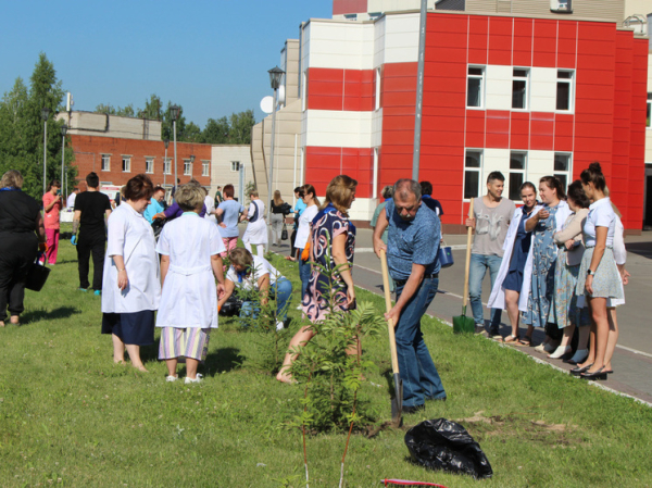 Более 40 елей высадили около краевой больницы в Барнауле