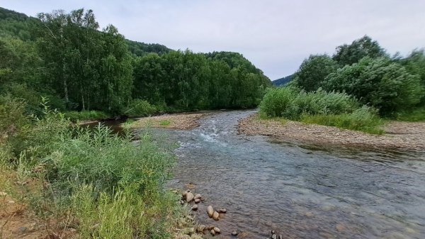 Что за красоты показали ценителям дикого отдыха в Алтайском крае