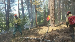 Как тушили огромный лесной пожар в Егорьевском районе?