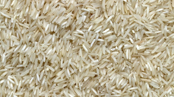 Россия запретила вывоз риса из страны до 2024 года