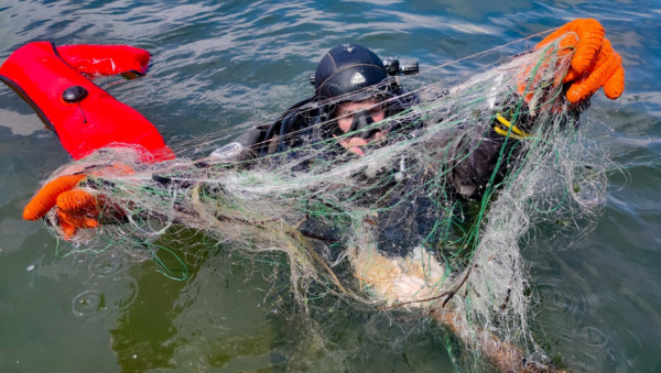 Телецкое озеро очистили от большого количества рыболовных сетей