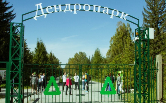 В минприроды прояснили вопрос о реконструкции дендропарка в Новосибирске