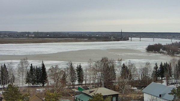 Берег Бии начали расчищать, но горожане недовольны