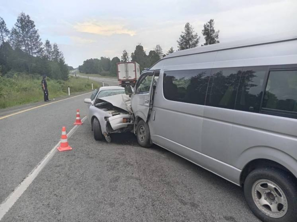 Девять туристов пострадали в ДТП с микроавтобусом на Семинском перевале