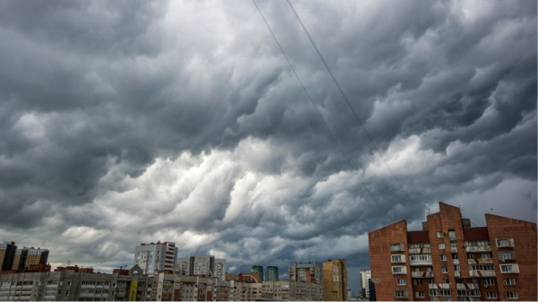 Какая погода будет в Алтайском крае и Барнауле 20 августа