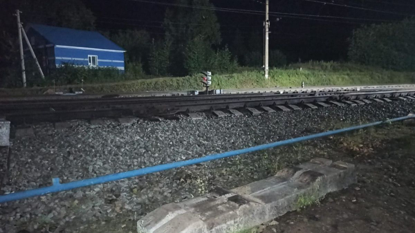 На станции Озерки грузовой поезд насмерть задавил мужчину