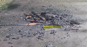 Неизвестные разожгли костер в Мизюлинской роще