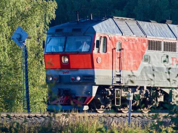 Поезд насмерть сбил мужчину на станции Озерки