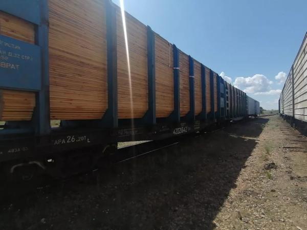 Пограничники предотвратили попытку незаконного вывоза алтайского леса в Казахстан