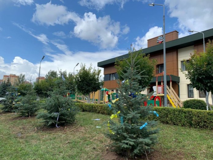 Сбер высадил сибирские голубые ели на территории детской больницы в Казани