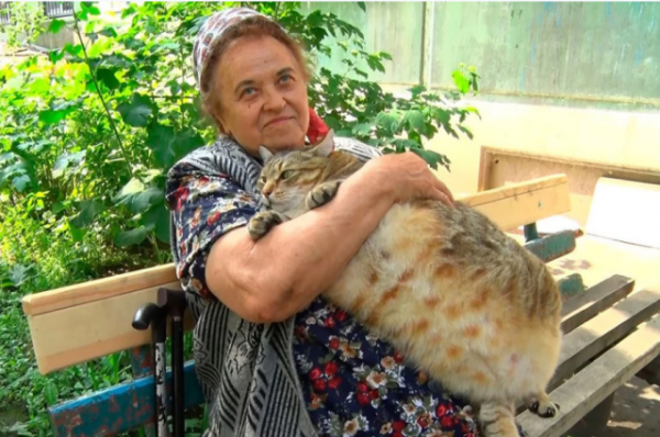 Смерть толстого кота Степана прокомментировали в Алтайском онкоцентре