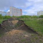 Стало известно, будут ли застраивать участок с рощей за "Лентой"