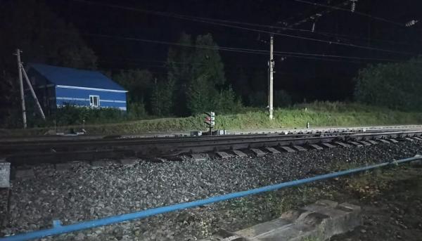 В Алтайском крае правоохранители устанавливают личность погибшего под поездом пешехода