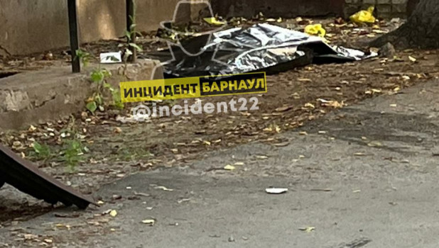В Барнауле нашли труп мужчины в подвале дома