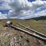 Жителя Алтайского края насмерть задавил бетонный столб