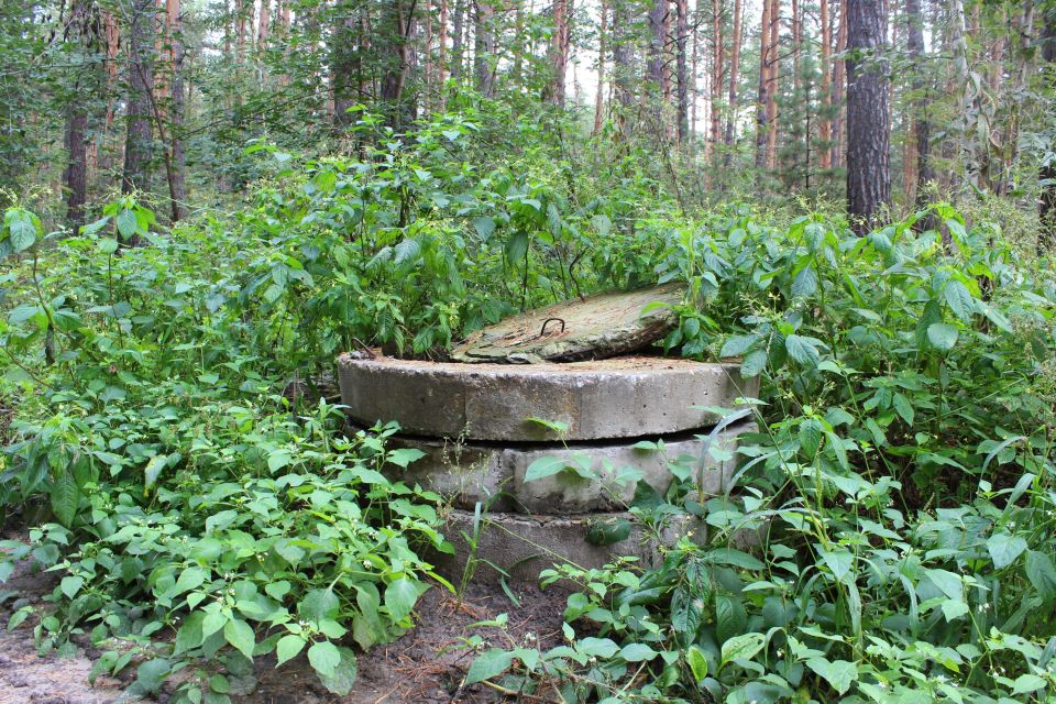 Как "черные" ассенизаторы портят воздух целого района Барнаула. Фото