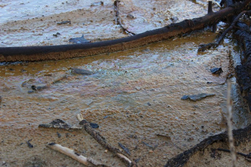 Как выглядит "мертвая зона" с ручьями нефтепродуктов в Барнауле. Фото