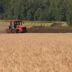 Какие беды обрушились на аграриев Алтайского края