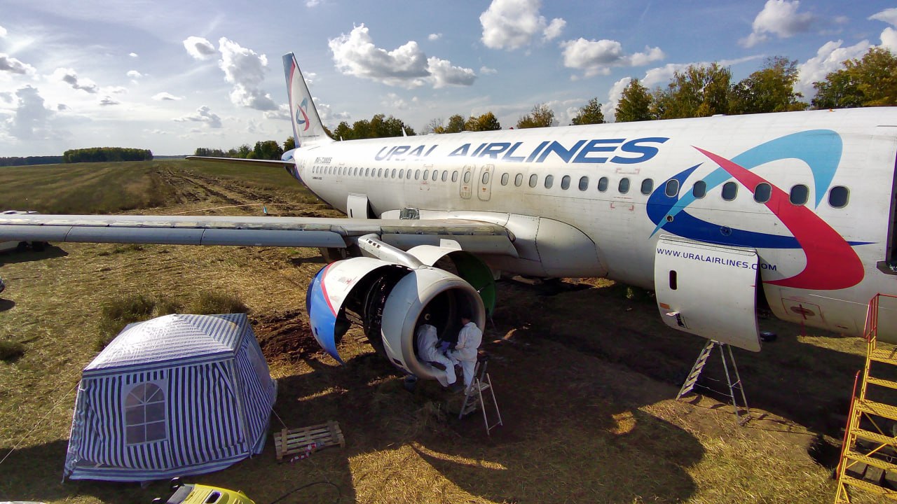 На транспортировку самолета, севшего в поле под Новосибирском, может уйти несколько месяцев