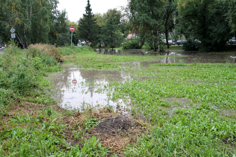 "Озера" у школ и глубокие лужи. Как Барнаул затопило после дождя 12 сентября