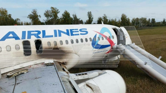 Пассажиры севшего под Новосибирском самолета попросили не наказывать пилотов