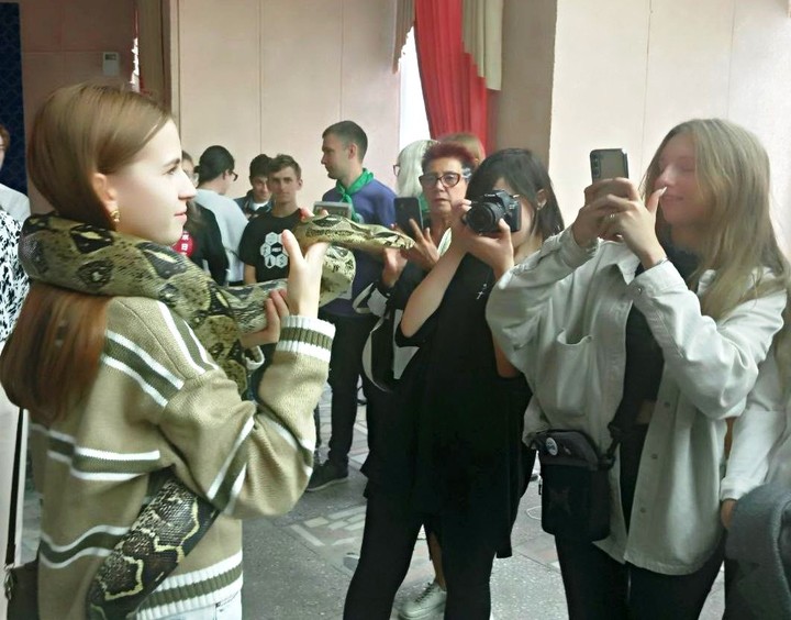 «Потрогай, не бойся»: в Барнауле прошла выставка змей, пауков и тараканов
