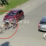 В Барнауле женщина пнула северного оленя, который катал ребенка
