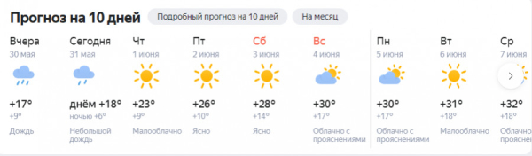 Аномальная жара обрушится на Алтайский край в первую неделю лета