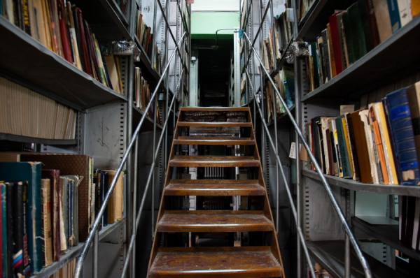 Самые милые сердцам алтайских книголюбов лестницы отремонтируют за 9 млн рублей
